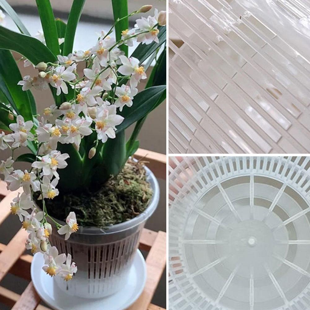 Aloe Vera Pot - Mesh Pot Wortel Controle Transparante Bloempot