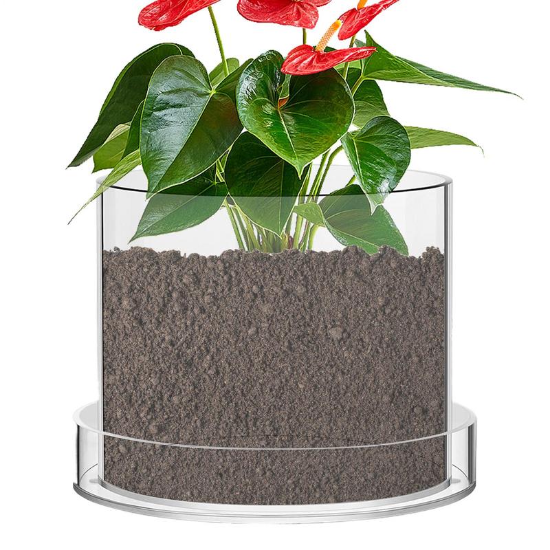 Aloe Vera Pot - Doorzichtige plantenpotten met drainage Doorzichtige oppotcontainers