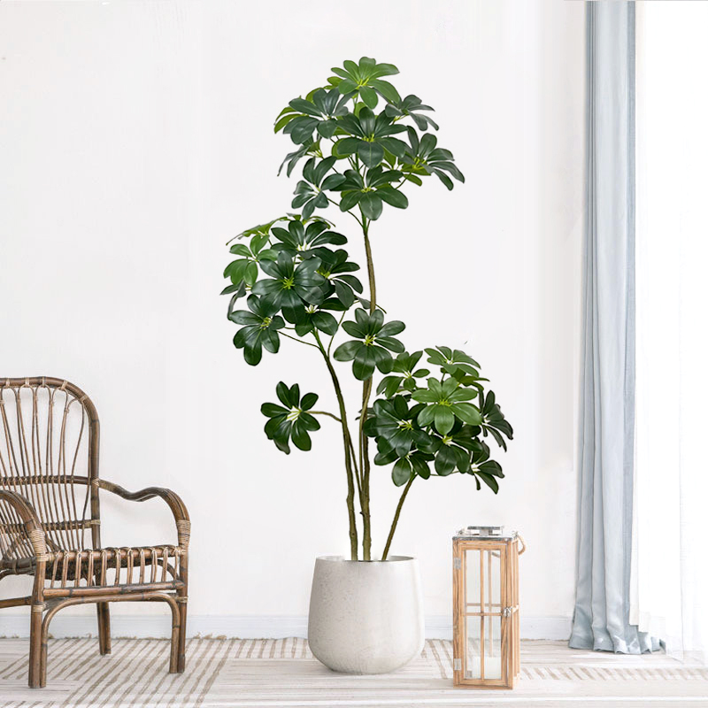 74in tropische boom grote kuns - Dracaena Marginata recensie en prijs