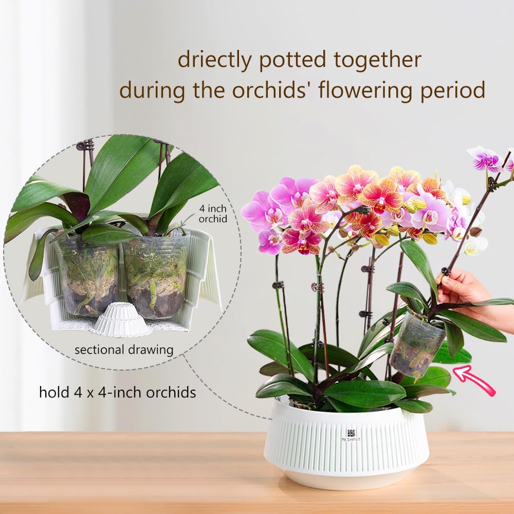 Meshpot Orchideeënpot met gate - Aloe Vera Pot recensie en prijs
