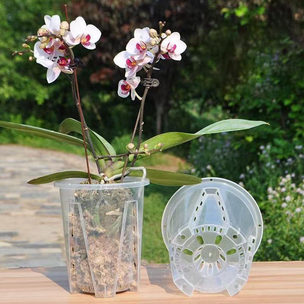 Plastic wortelcontrole transpa - Aloe Vera Pot recensie en prijs
