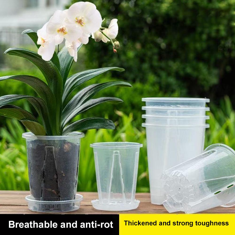 Plastic wortelcontrole transpa - Aloe Vera Pot recensie en prijs