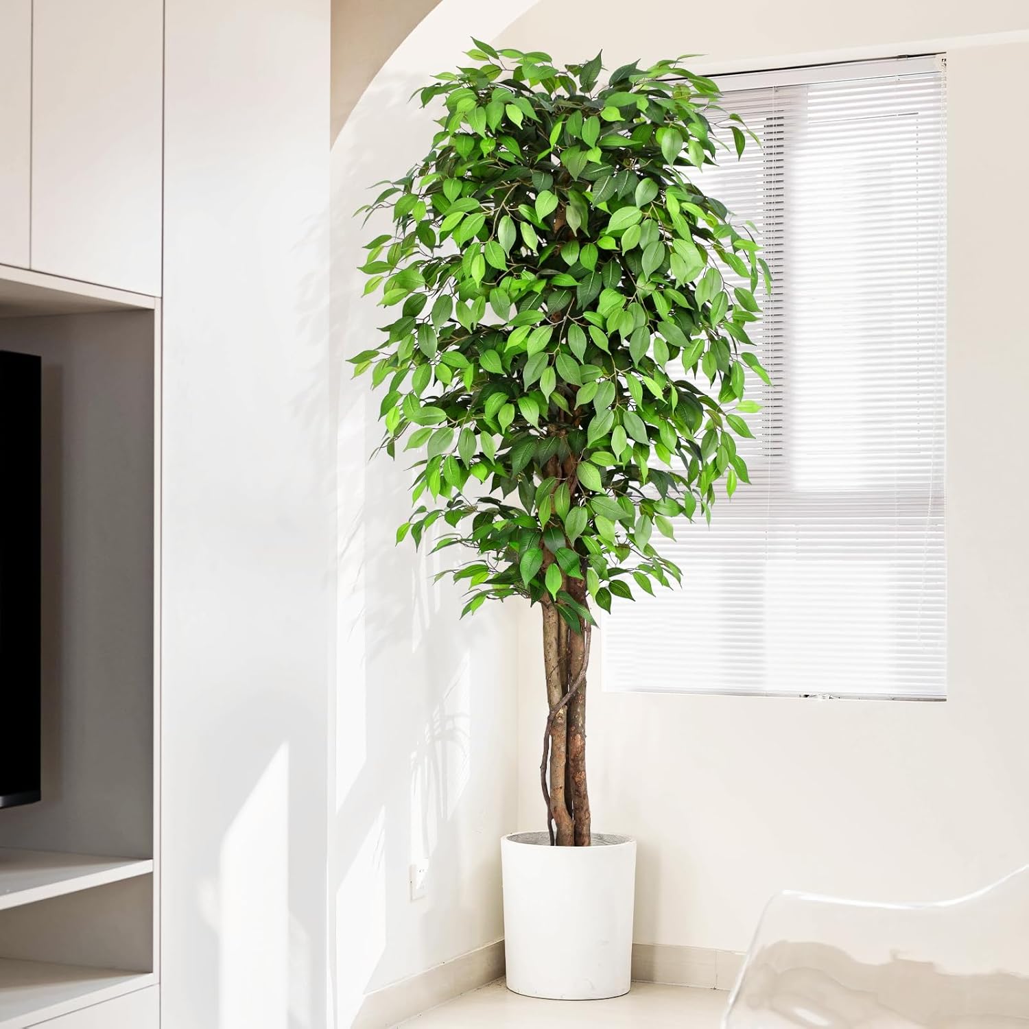 Levensechte kunstmatige vijgen - Monstera Adansonii recensie en prijs