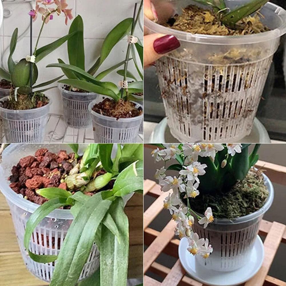 Mesh Pot Wortel Controle Trans - Aloe Vera Pot recensie en prijs