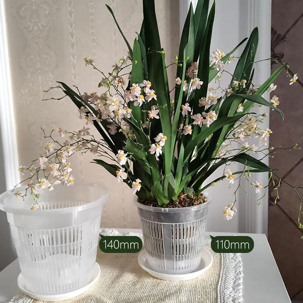 Mesh Pot Wortel Controle Trans - Aloe Vera Pot recensie en prijs