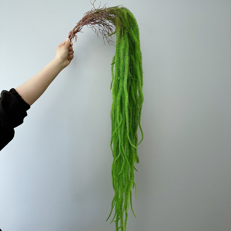 Kunstmatige Wilgenbaard Veelzi - Monstera Adansonii recensie en prijs