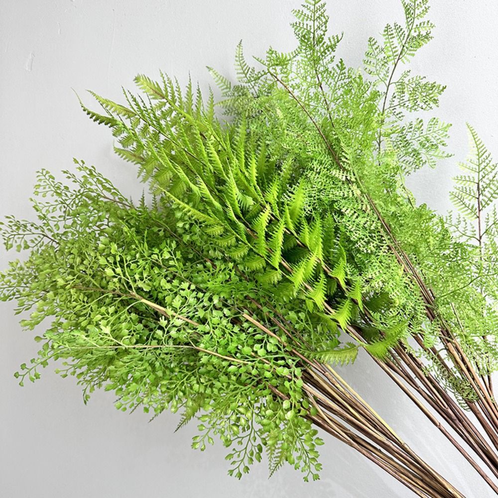 Realistische kunstmatige varen - Dracaena Marginata recensie en prijs