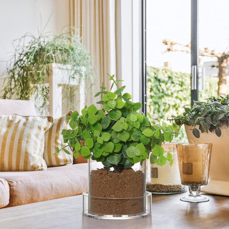 Doorzichtige plantenpotten met - Aloe Vera Pot recensie en prijs