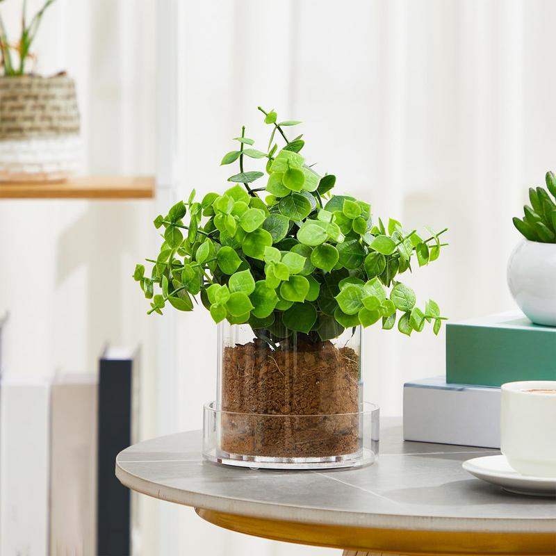 Doorzichtige plantenpotten met - Aloe Vera Pot recensie en prijs