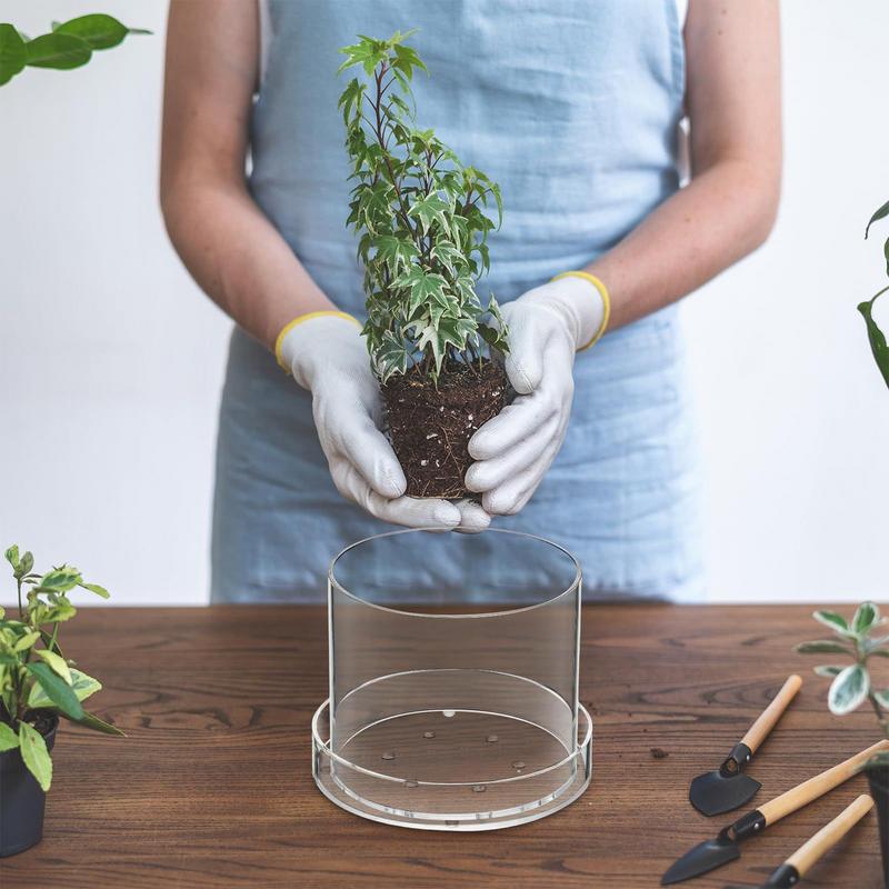 Doorzichtige plantenpotten met - Aloe Vera Pot recensie en prijs