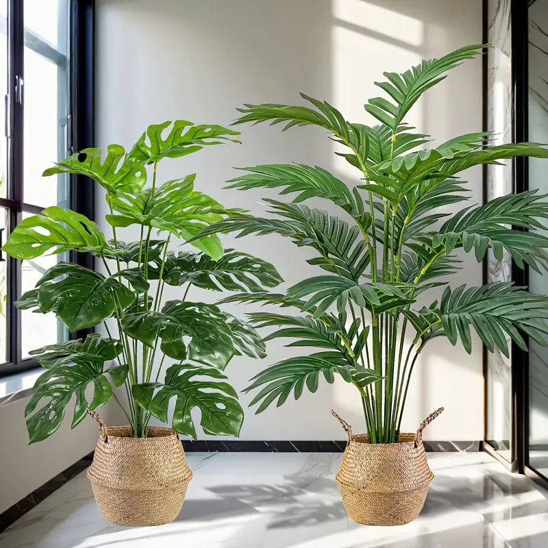 2 stuks groene 24 bladeren kun - Monstera Adansonii recensie en prijs