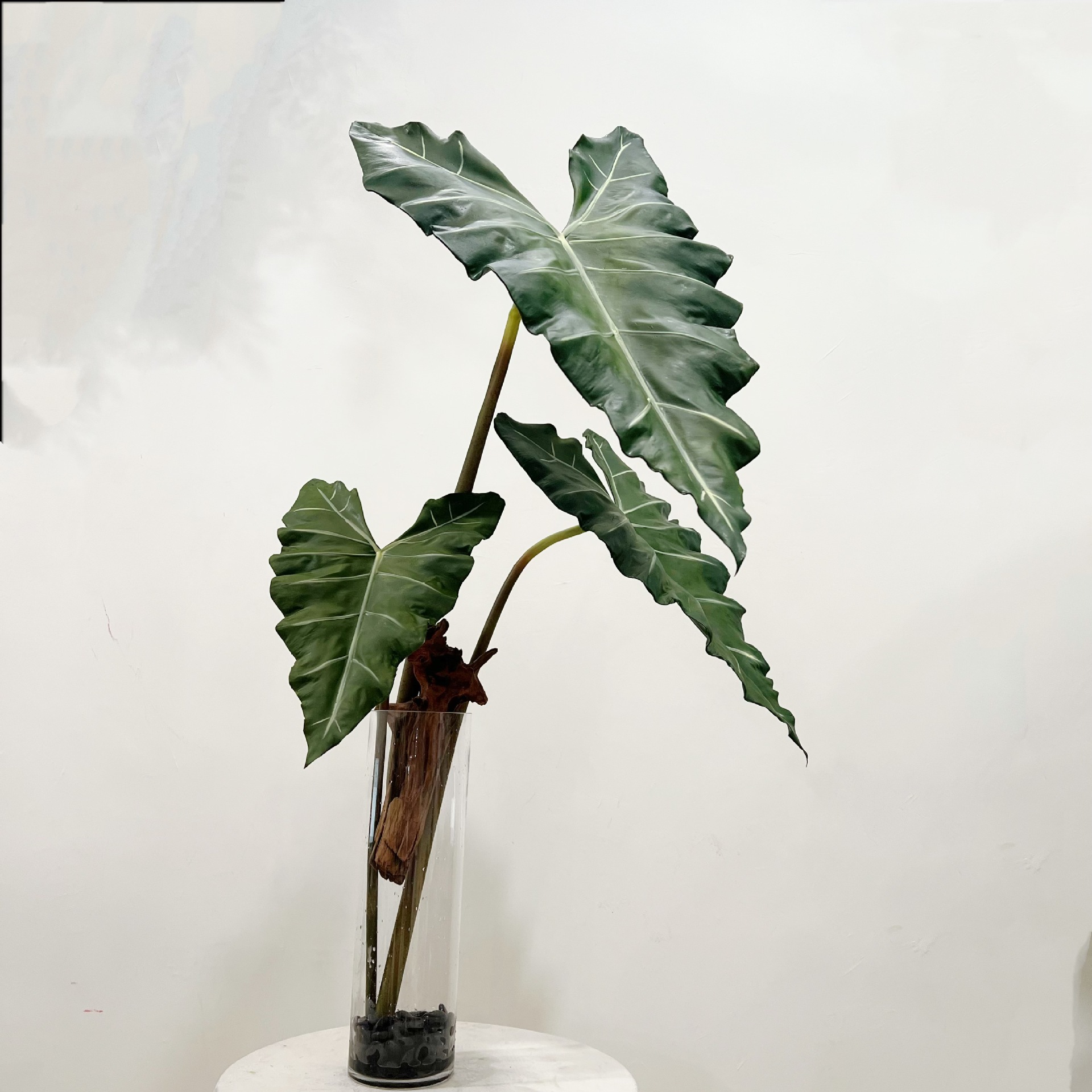 Gesimuleerde lange PU handgevo - Monstera Adansonii recensie en prijs