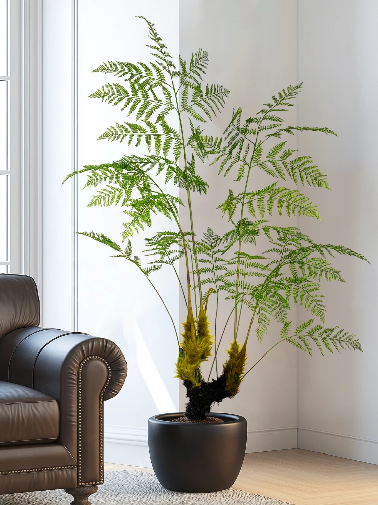 Grote gesimuleerde gouden aap  - Dracaena Marginata recensie en prijs